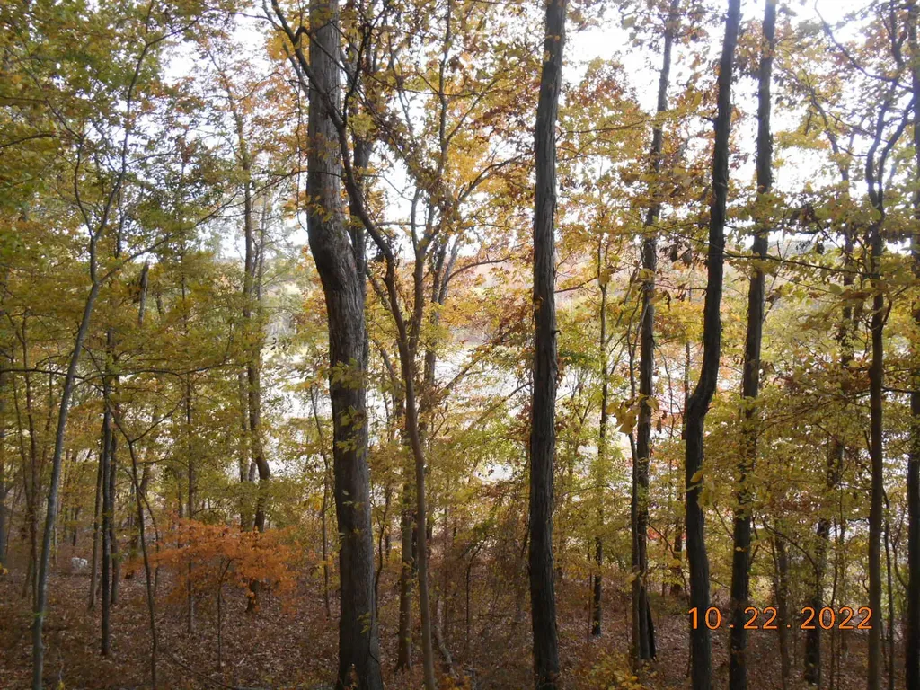 0 Crane Lane Cadiz KY 42211