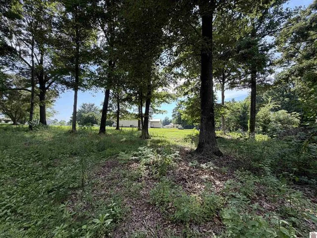 3003 Friendship Road Eddyville KY 42038