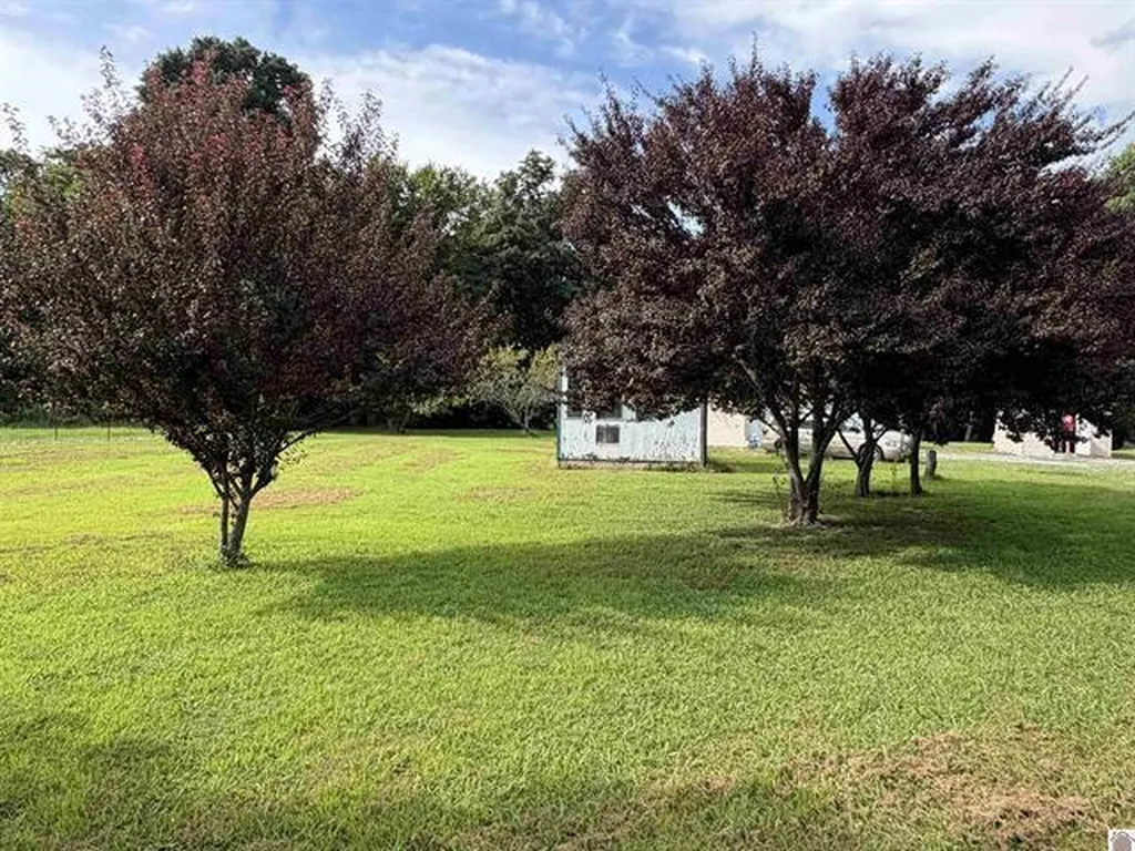 3003 Friendship Road Eddyville KY 42038