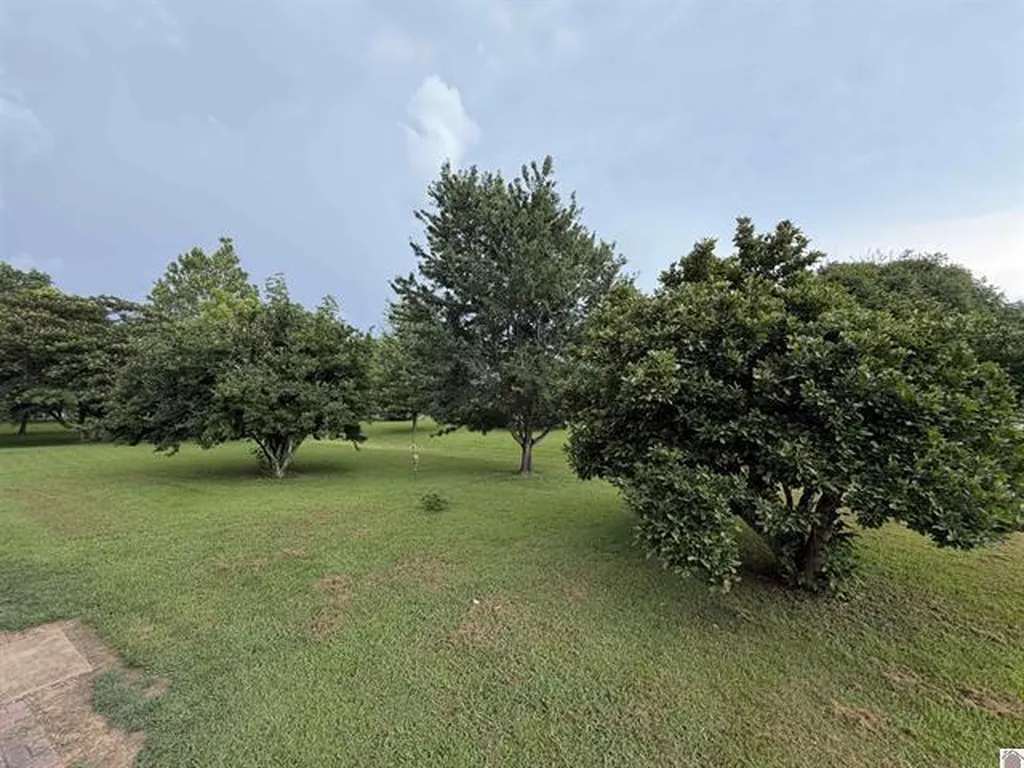 3003 Friendship Road Eddyville KY 42038