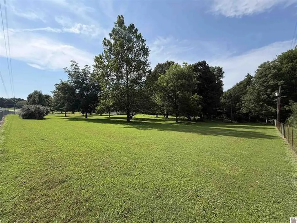 3003 Friendship Road Eddyville KY 42038