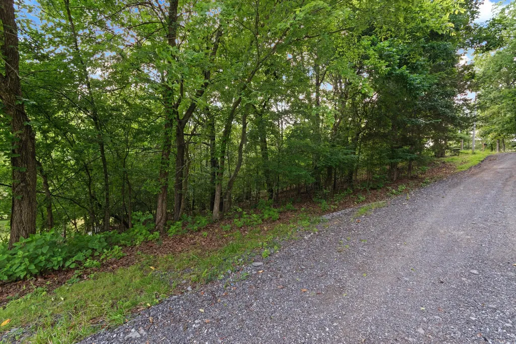 Lot 7 Donaldson Shores Drive Cadiz KY 42211