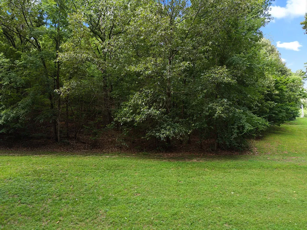 Lot 7 Donaldson Shores Drive Cadiz KY 42211