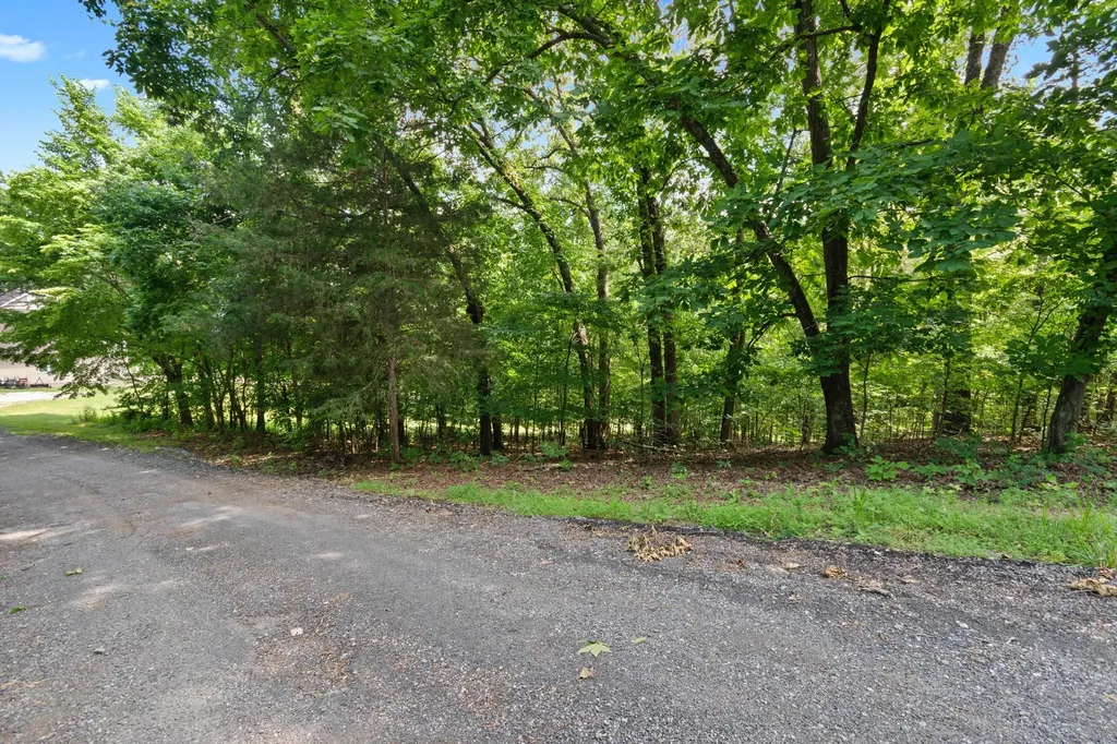 Lot 7 Donaldson Shores Drive Cadiz KY 42211