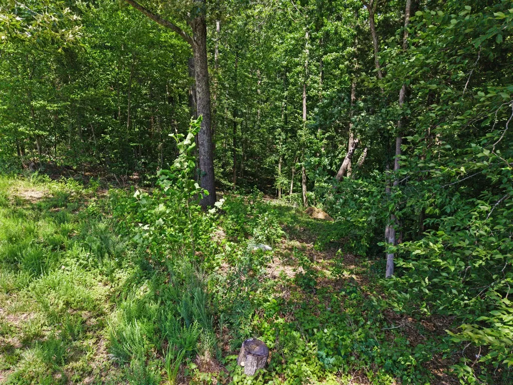 Lot 30 Sutherland Winds Whispering Winds Road Cadiz KY 42211