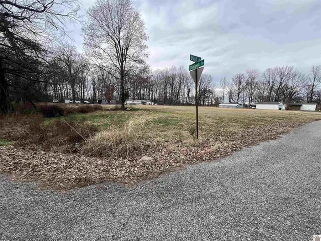 Lots 51-54, 68-71, & 102 Quail Road Calvert City KY 42029