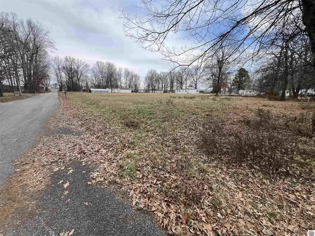 Lots 51-54, 68-71, & 102 Quail Road Calvert City KY 42029