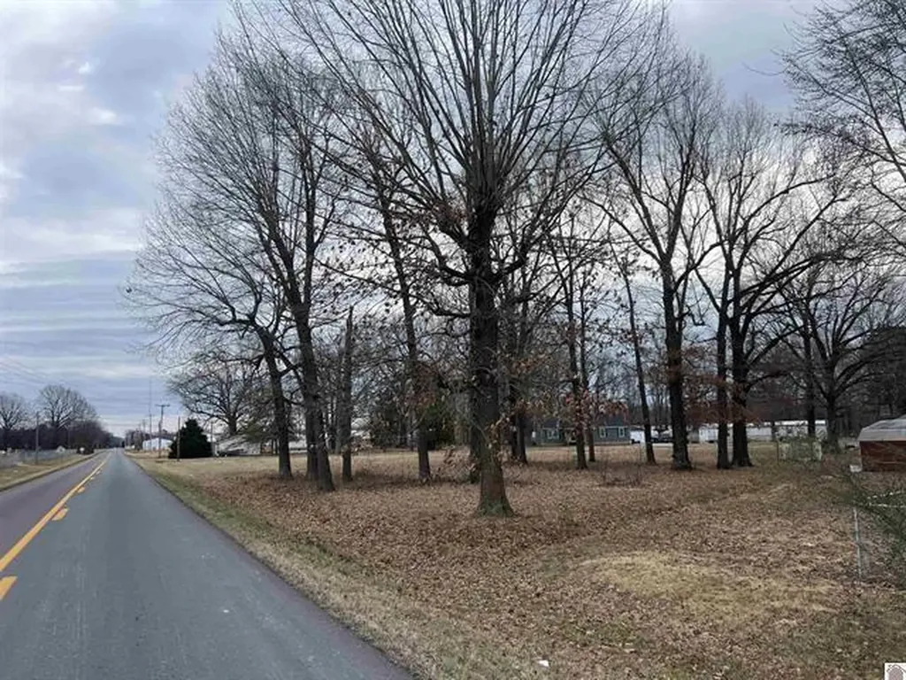 Lots 51-54, 68-71, & 102 Quail Road Calvert City KY 42029