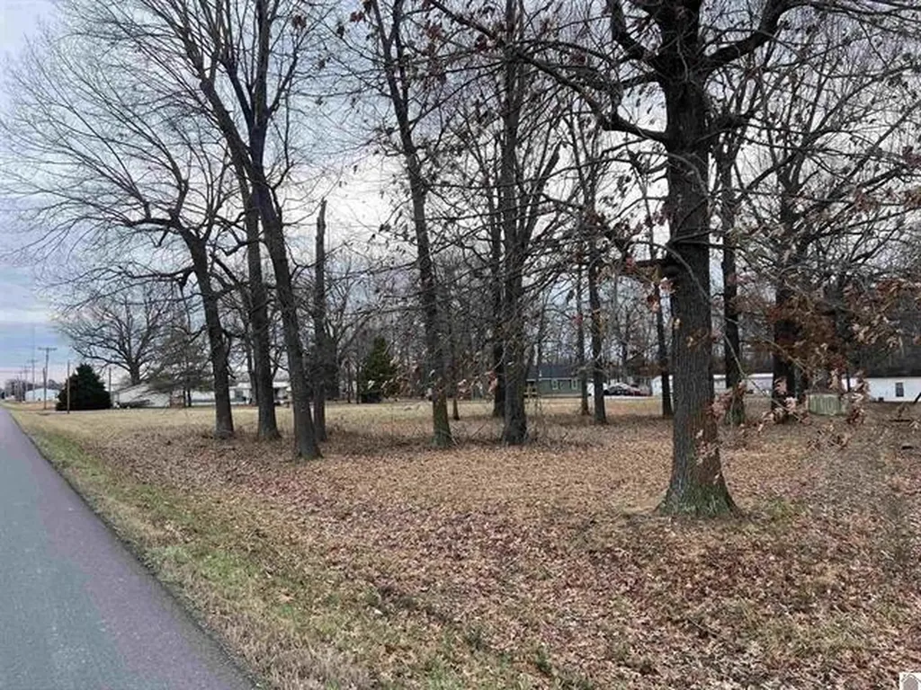 Lots 51-54, 68-71, & 102 Quail Road Calvert City KY 42029