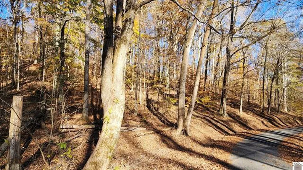Lot 54b & 55e Commerce Landing Road Eddyville KY 42038
