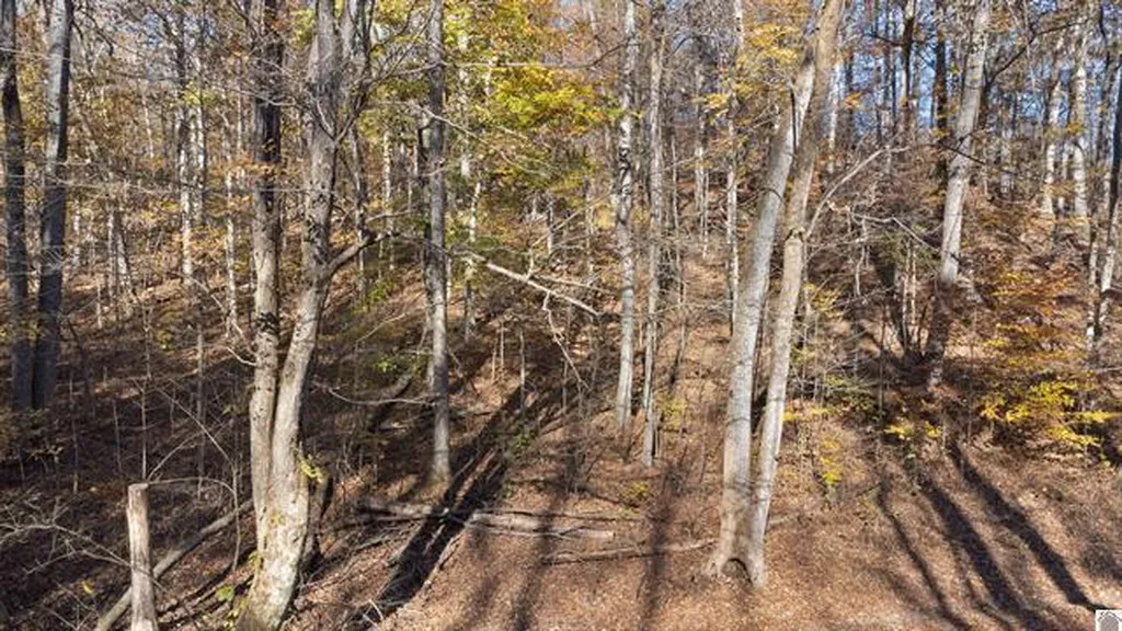 Lot 54b & 55e Commerce Landing Road Eddyville KY 42038