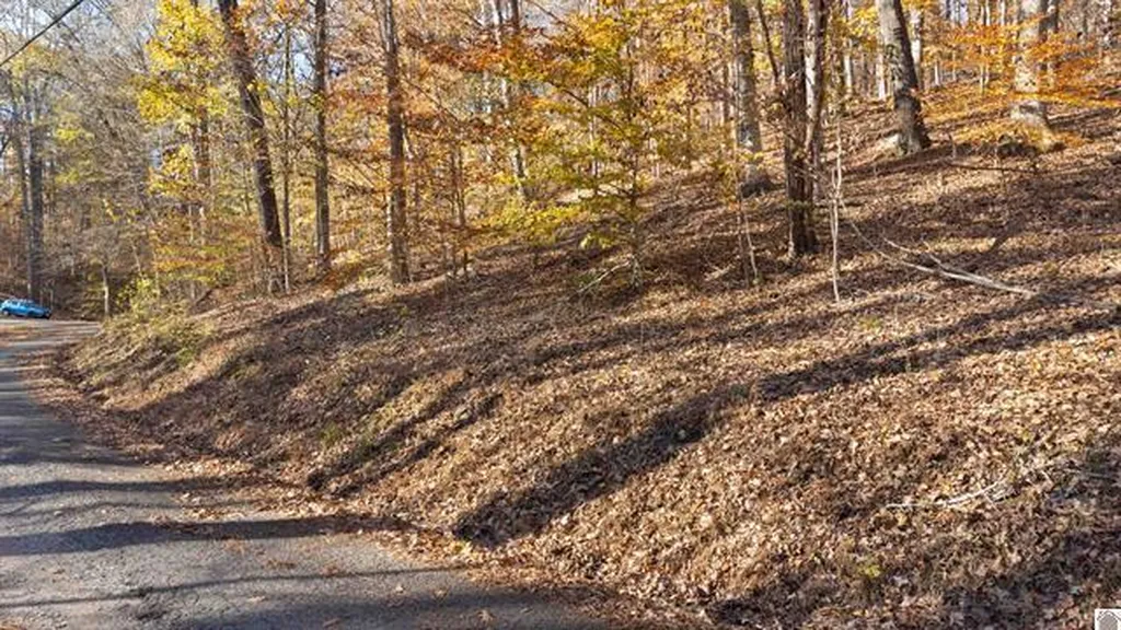 Lot 54b & 55e Commerce Landing Road Eddyville KY 42038