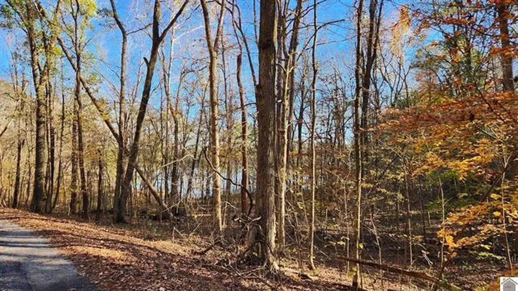 Lot 54b & 55e Commerce Landing Road Eddyville KY 42038