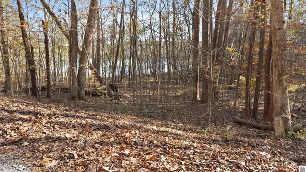 Lot 54b & 55e Commerce Landing Road Eddyville KY 42038