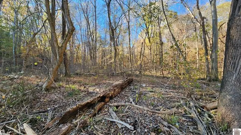 Lot 54b & 55e Commerce Landing Road Eddyville KY 42038