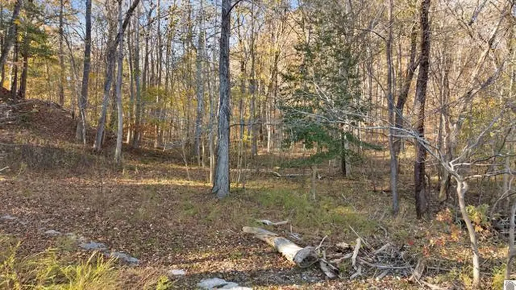 Lot 54b & 55e Commerce Landing Road Eddyville KY 42038