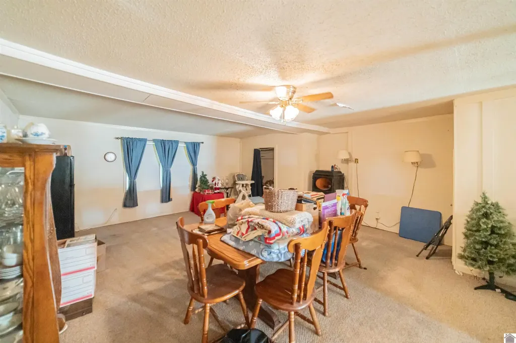 3858 Pecan Drive Paducah KY 42001