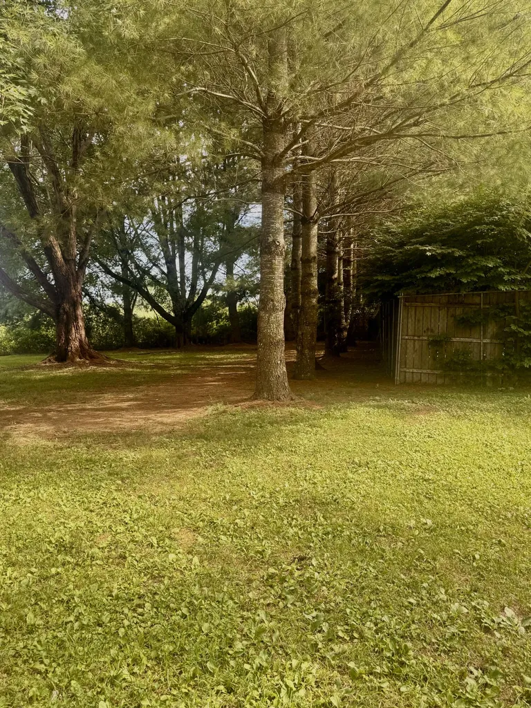 163 Holly Hock Drive Liberty KY 42539