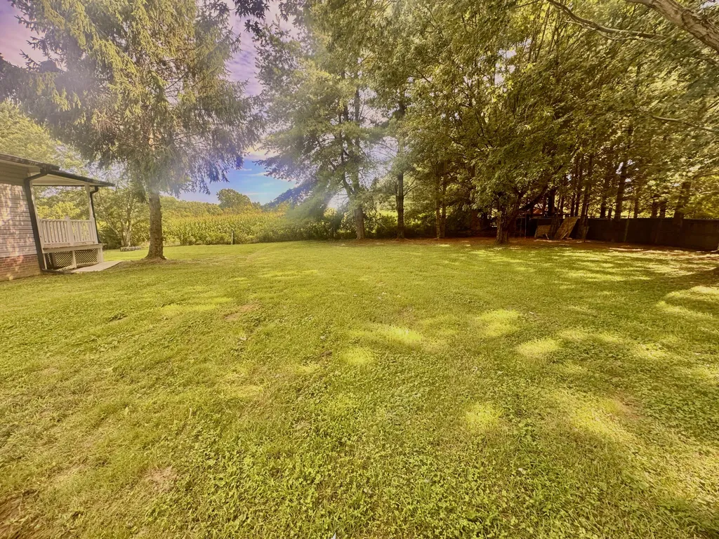 163 Holly Hock Drive Liberty KY 42539