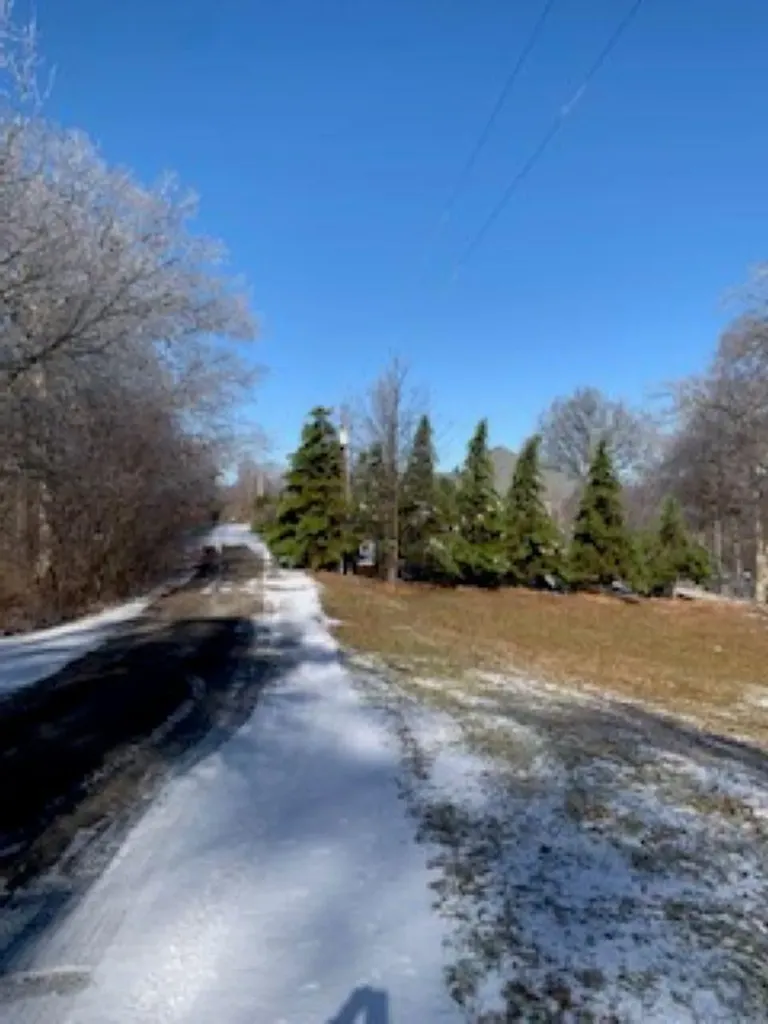 000 Willanco Road Eddyville KY 42038