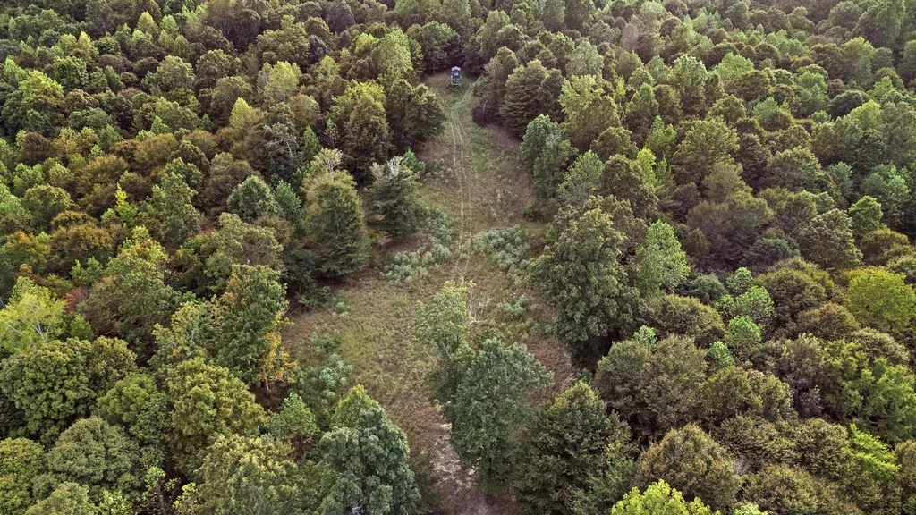 000 Rockcastle Road Cadiz KY 42211