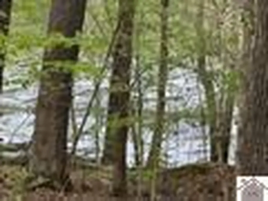 000 Motley Circle Eddyville KY 42038