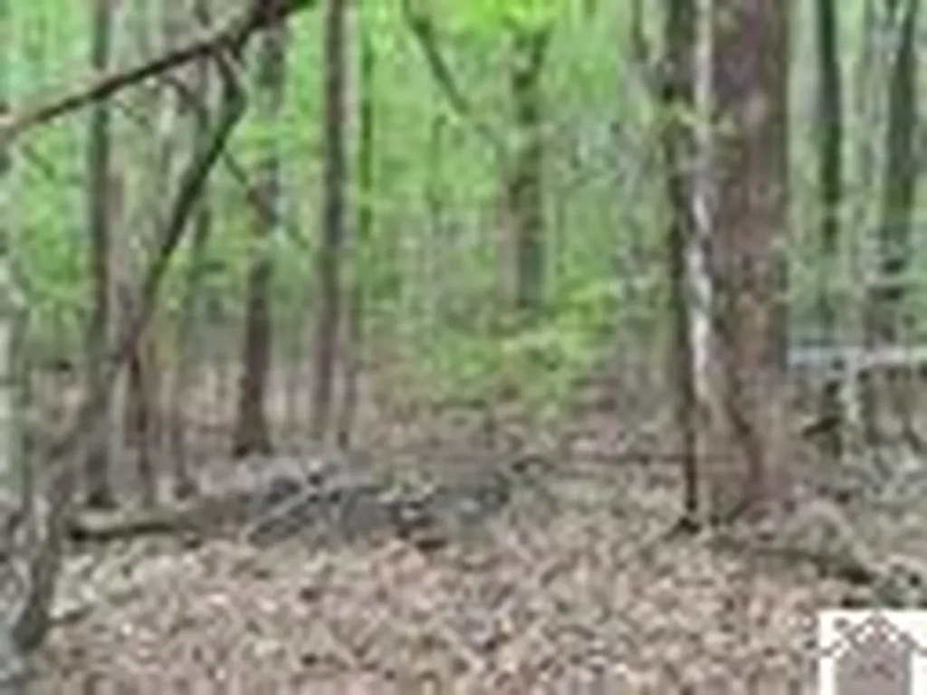 000 Motley Circle Eddyville KY 42038