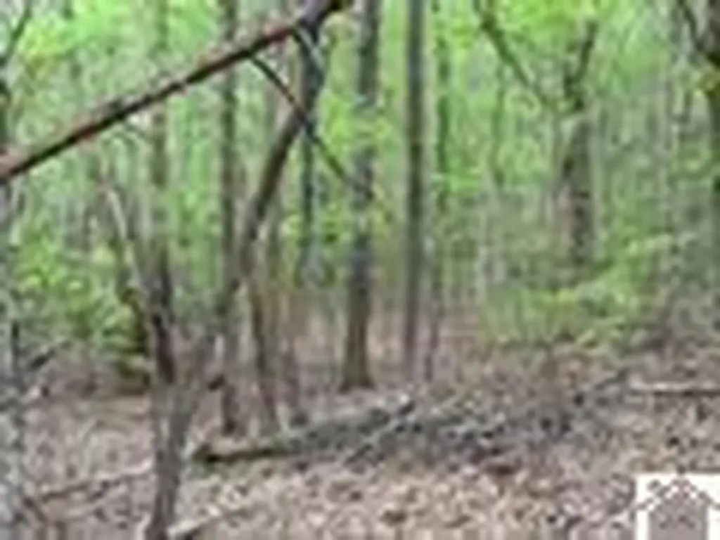 000 Motley Circle Eddyville KY 42038