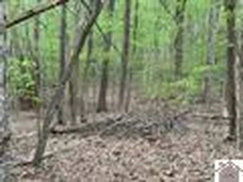 000 Motley Circle Eddyville KY 42038