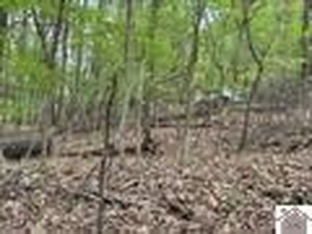 000 Motley Circle Eddyville KY 42038