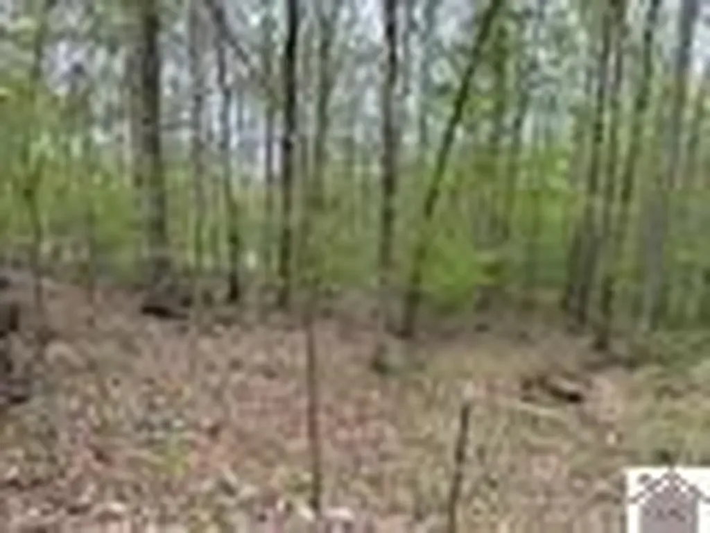 000 Motley Circle Eddyville KY 42038