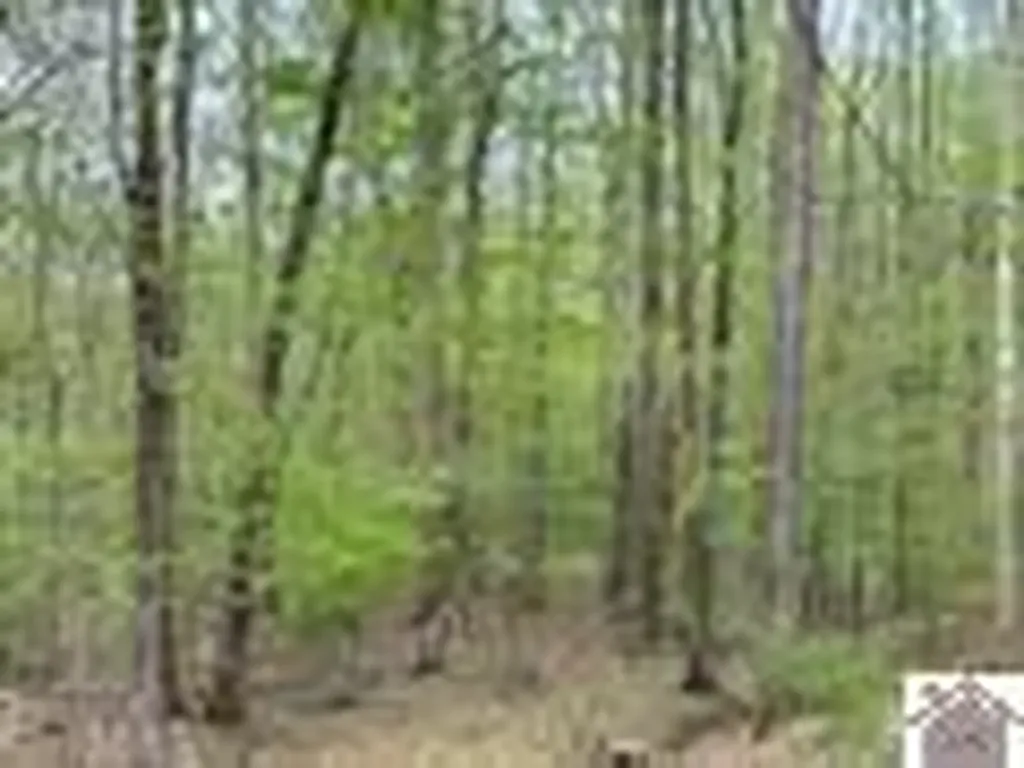 000 Motley Circle Eddyville KY 42038