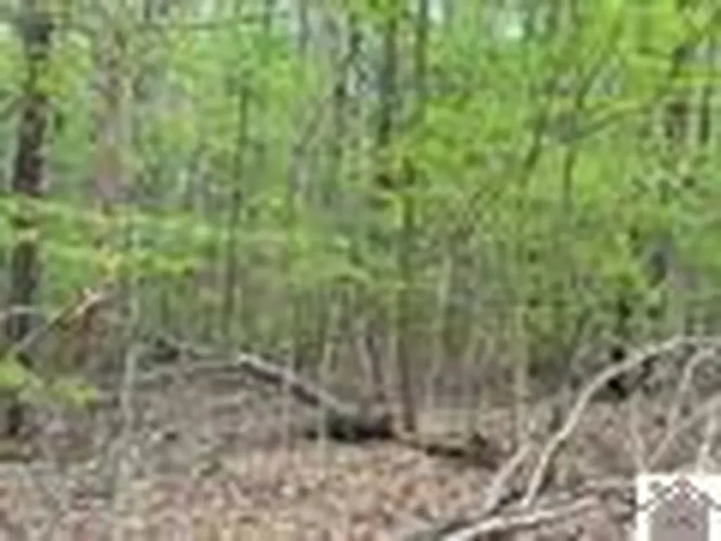 000 Motley Circle Eddyville KY 42038