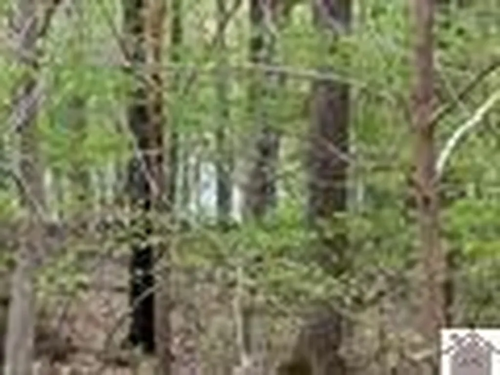 000 Motley Circle Eddyville KY 42038