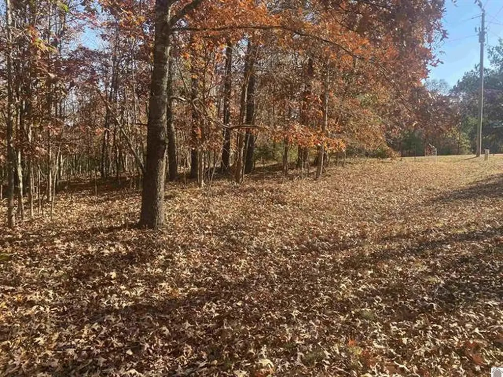 Lot 1 Faust Road Benton KY 42025
