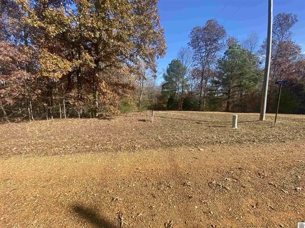 Lot 1 Faust Road Benton KY 42025
