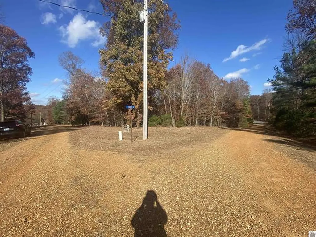 Lot 1 Faust Road Benton KY 42025