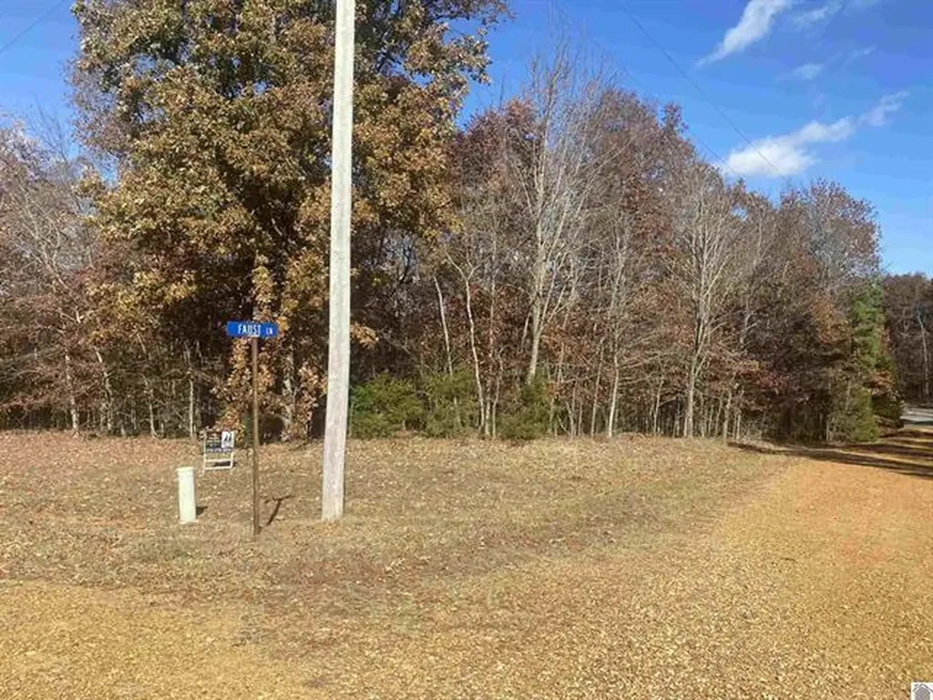 Lot 1 Faust Road Benton KY 42025