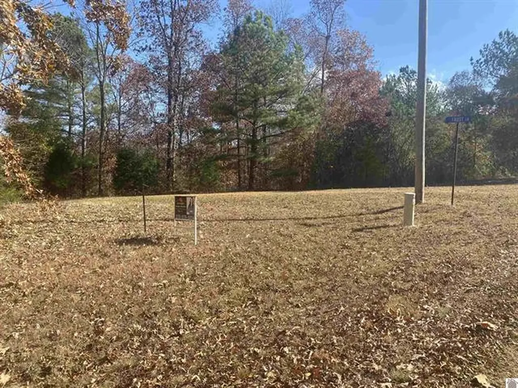 Lot 1 Faust Road Benton KY 42025