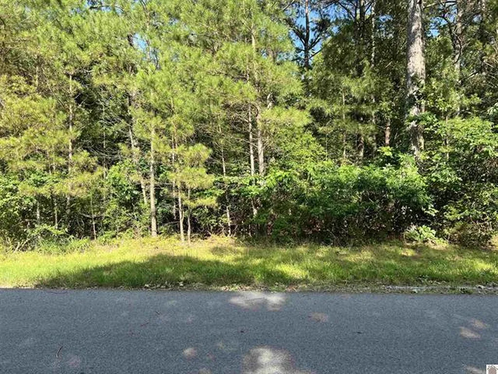 Unit 2 Lot 96 Briarfield Road Murray KY 42071