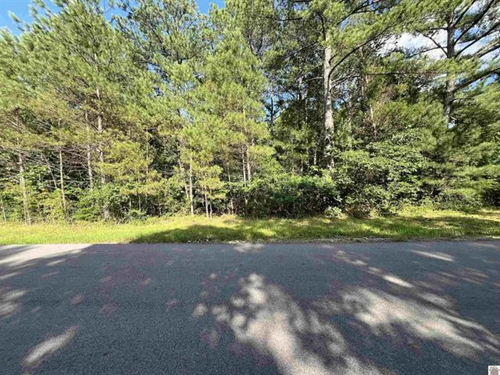 Unit 2 Lot 96 Briarfield Road Murray KY 42071