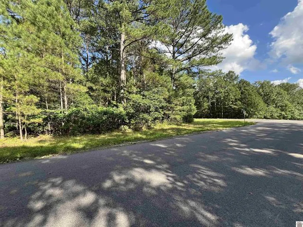 Unit 2 Lot 96 Briarfield Road Murray KY 42071