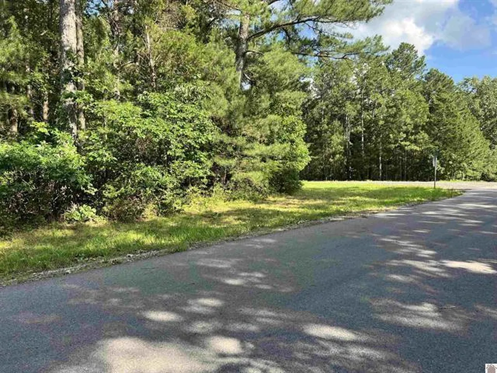 Unit 2 Lot 96 Briarfield Road Murray KY 42071