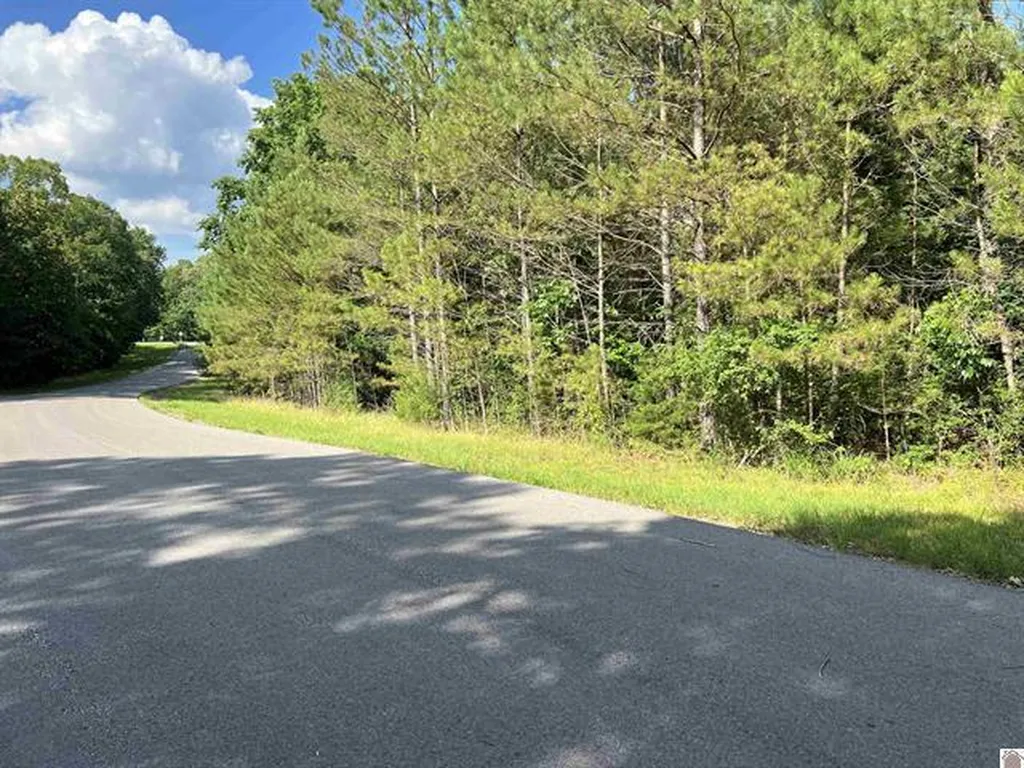 Unit 2 Lot 96 Briarfield Road Murray KY 42071