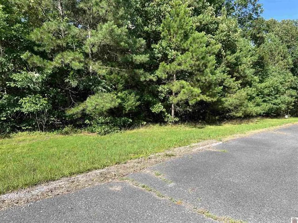 Unit 2 Lot 96 Briarfield Road Murray KY 42071