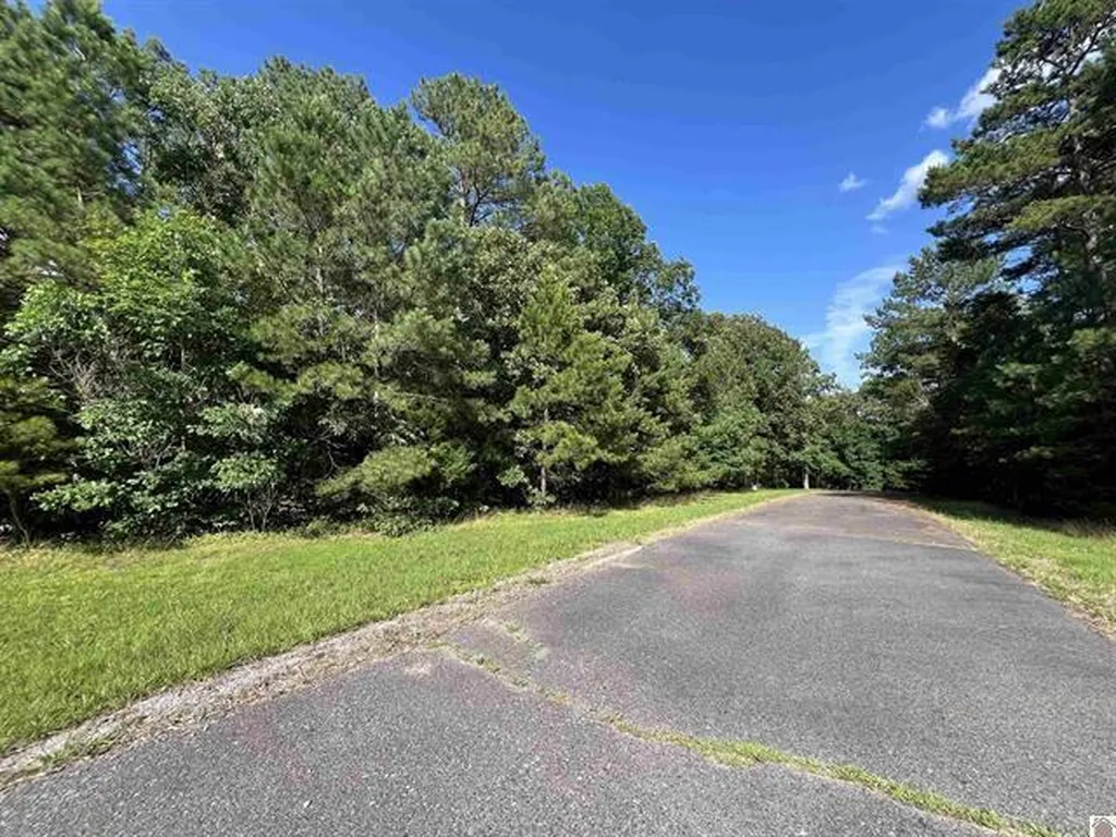 Unit 2 Lot 96 Briarfield Road Murray KY 42071