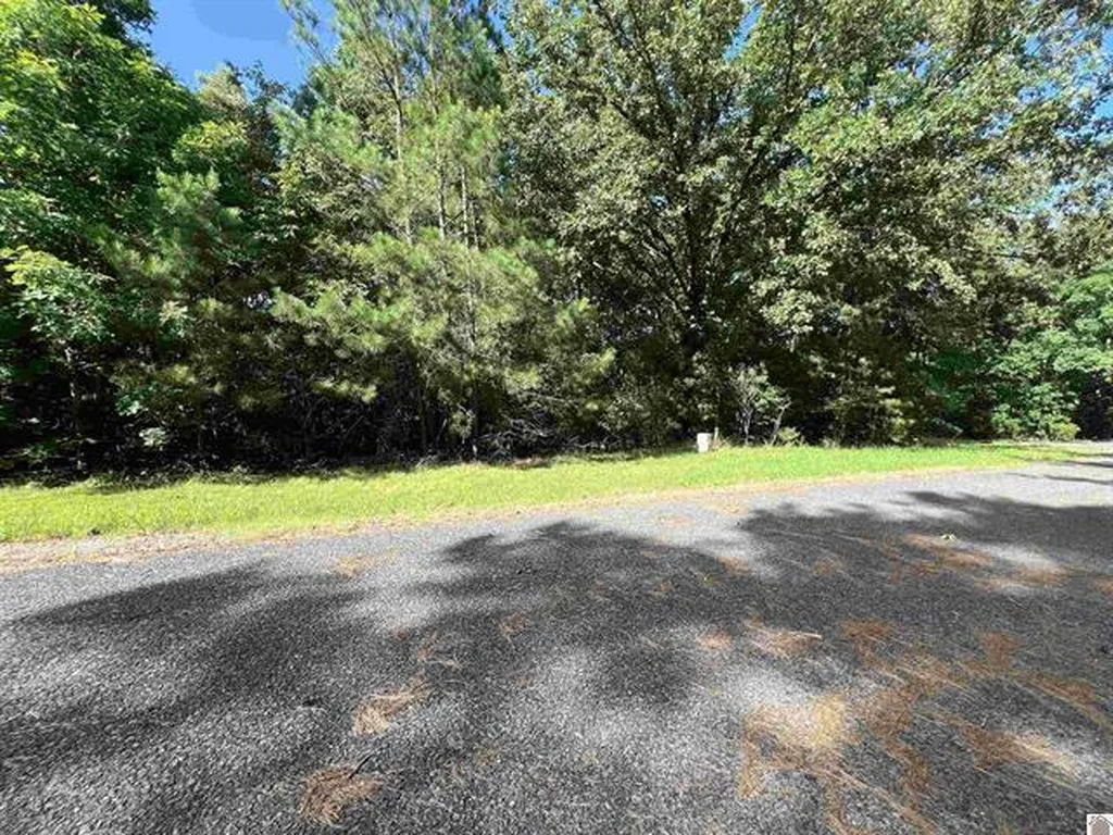 Unit 2 Lot 96 Briarfield Road Murray KY 42071