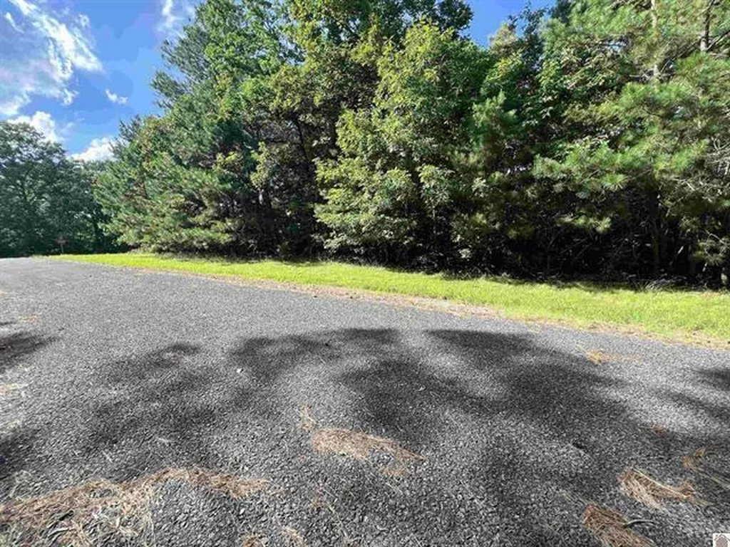 Unit 2 Lot 96 Briarfield Road Murray KY 42071