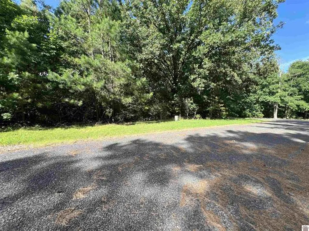 Unit 2 Lot 96 Briarfield Road Murray KY 42071