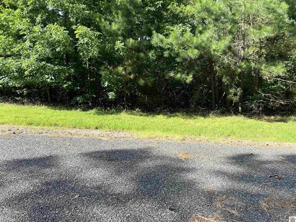 Unit 2 Lot 96 Briarfield Road Murray KY 42071